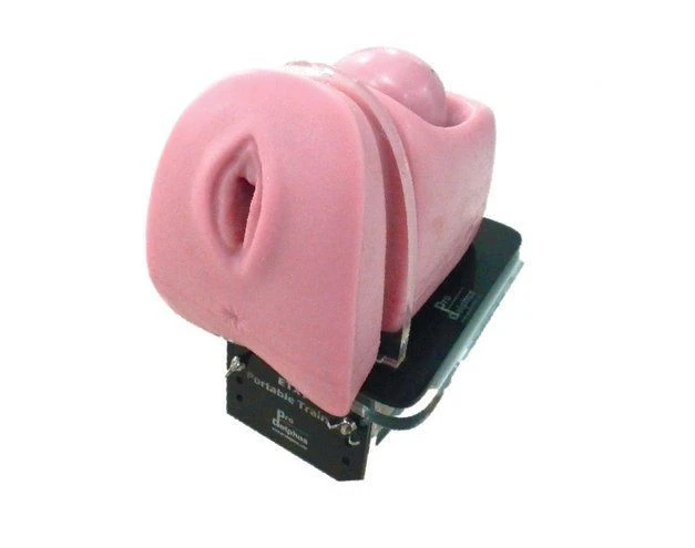 Hysteroscopic trainer, GP100S