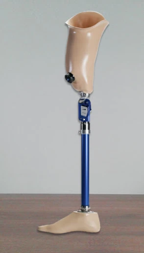 Hip prosthesis for bathing