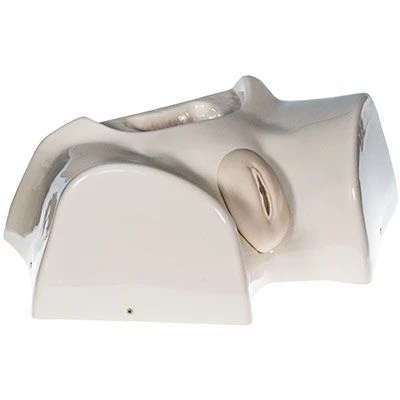 Female perineum phantom for bladder catheterisation ZIK-10