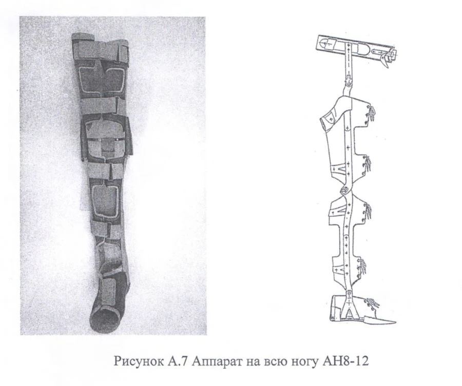 Full leg brace AH8-12