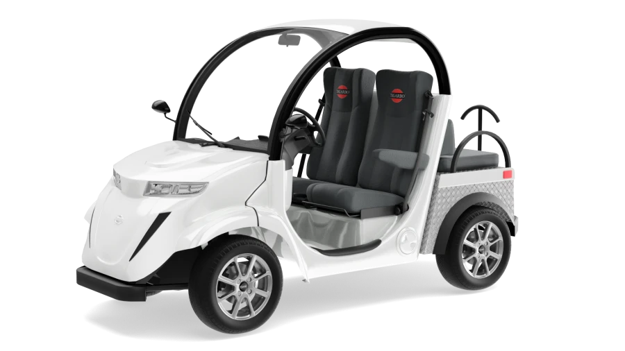 Electric car "Elecar 5E-TIGARBO" 2+2