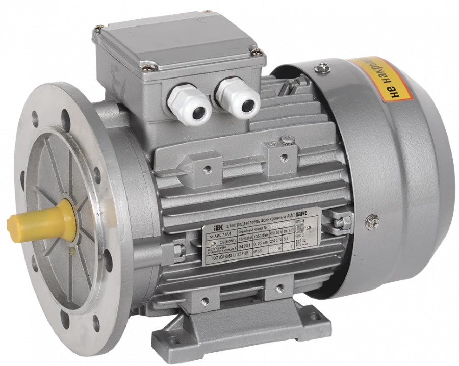 Three-phase asynchronous electric motor AIS 100LB2 380V 4kW 3000rpm 2081 DRIVE IEK