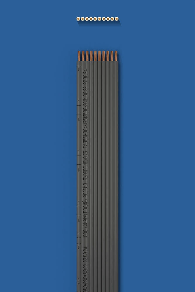 Installation flat wire with two-layer (double) insulation PUVVPG 10õ0,75