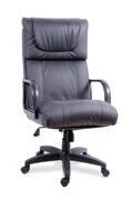 Armchair Orchid