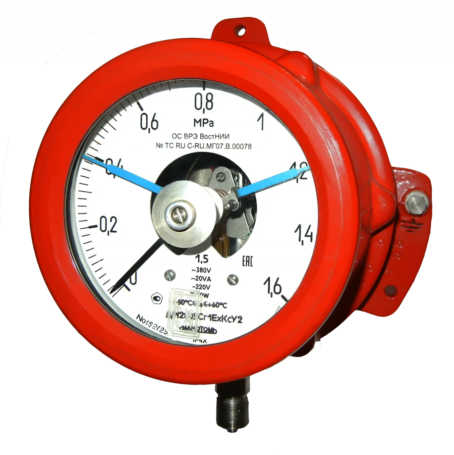 Pressure gauge DM2005Cr1ExCs