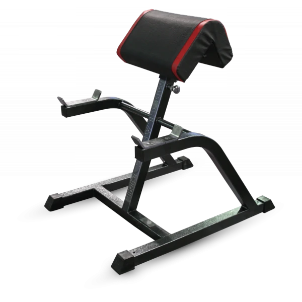 Biceps bench (Scott bench)