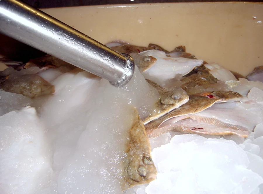 DWT series ship and shore-based liquid ice machines for fish cooling
