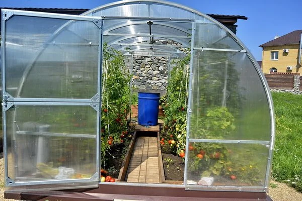 Greenhouse "Standard"