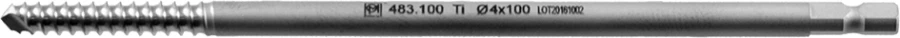 Schanz rods, 4 mm diameter, article 283.080