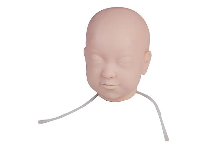 Infant head model for IV training, PS6601