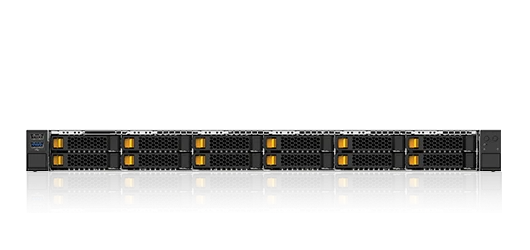 Graviton S2121IV server, ECRT.466535.001-31
