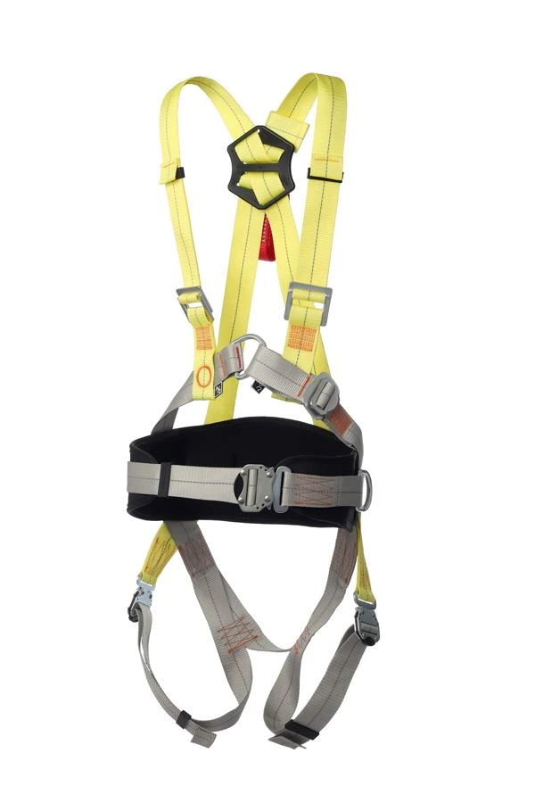Alpha 6.0 harness, article vnt 116