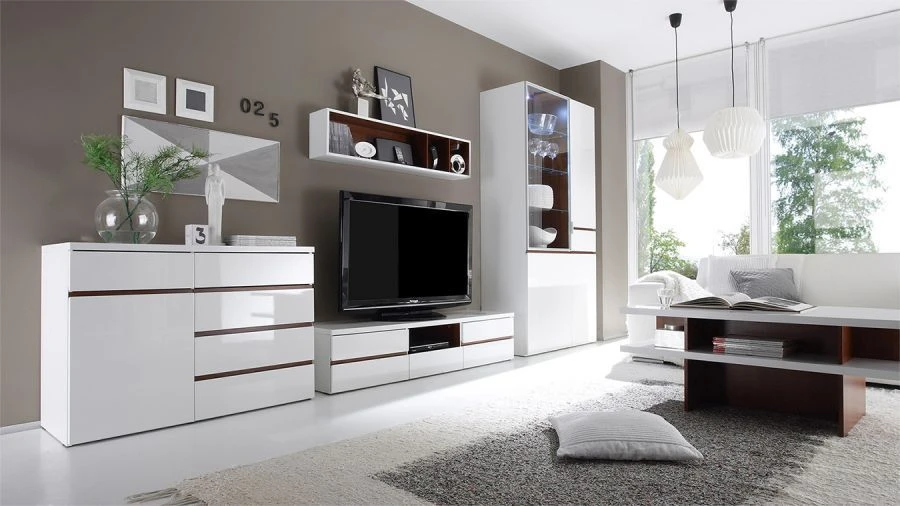 Set of furniture for living room, dining room