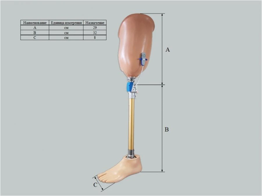 Hip prosthesis for therapeutic training