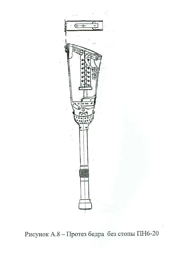 Hip prosthesis with leather splint PN6-20