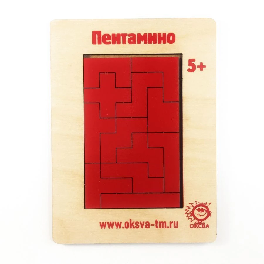 Pentamino puzzle.