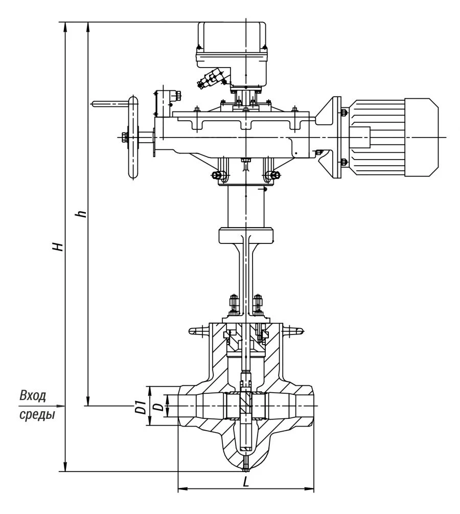 1233-100-ECh Control valve