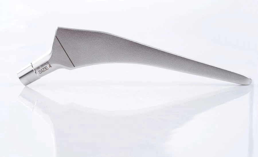 Hip prostheses with accessories