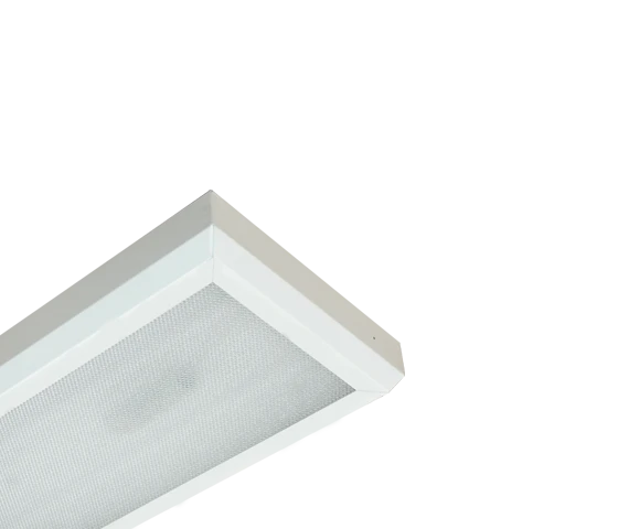 Ceiling fluorescent luminaires: LPO05-2x14-031 OPL