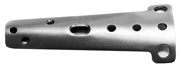 Spoon-shaped plate