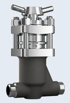 Shut-off bellows valve ZT26363 DN 25