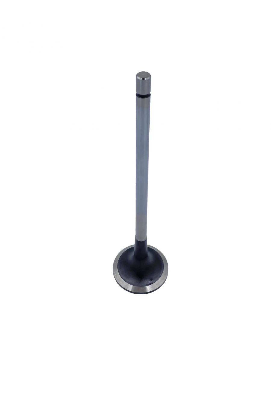 Exhaust valve RDG 3090469