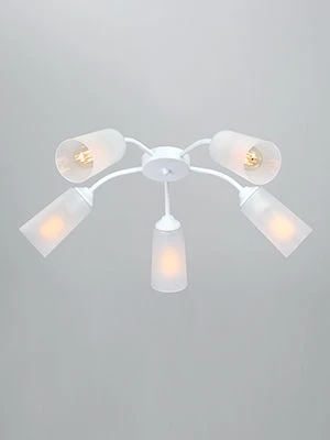 General purpose fixed luminaire V3758-0/5PL