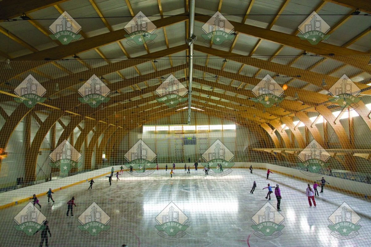 Ice arena with arched roof