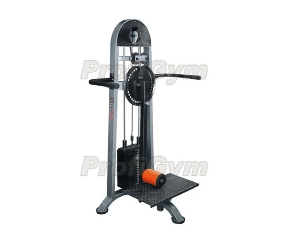 TG-0600-C. Hip extension-extension machine for standing.