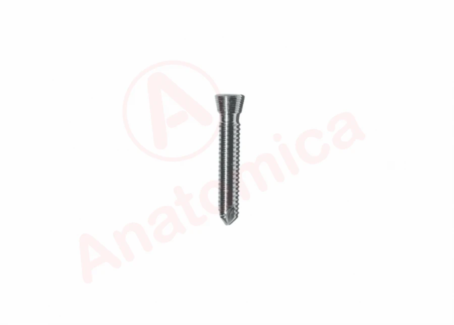 Cortical screw with conical thread