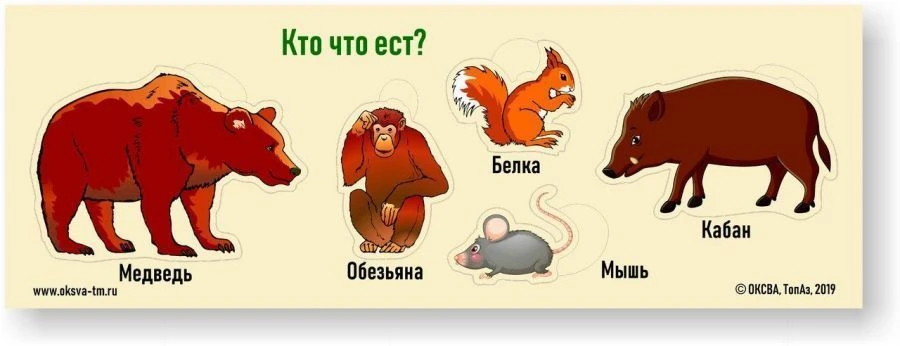 Game "Who eats what?" (Wild animals)