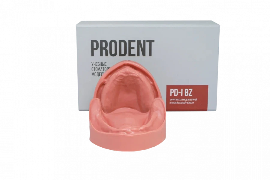 Dental model of edentulous mandible with undercuts PD-I BZ