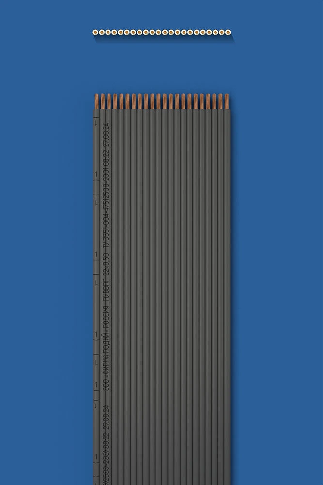 Installation flat wire with two-layer (double) insulation PUUVVVPG 22õ0,50
