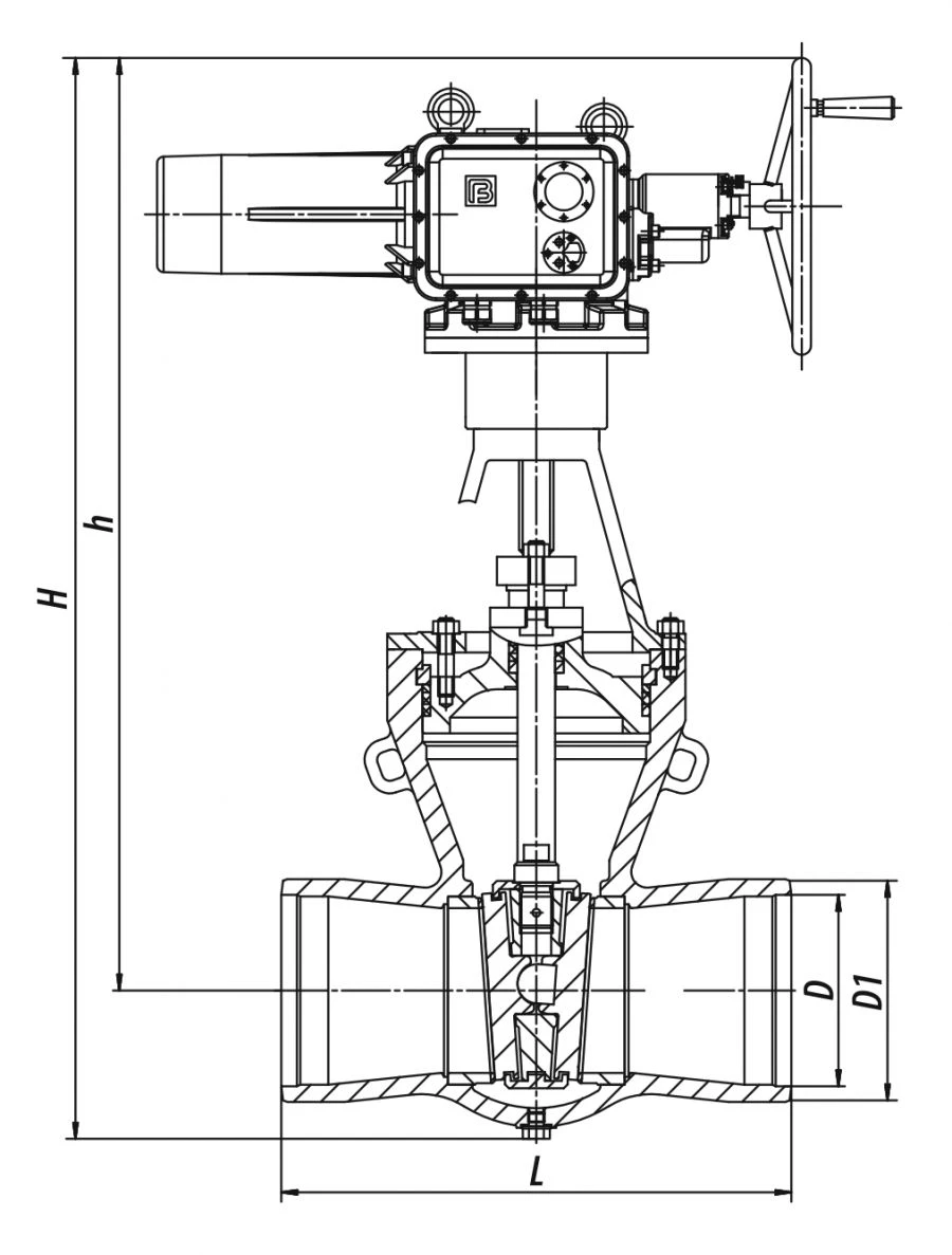 Gate valve 2s-EK-5H
