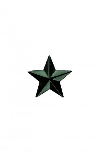 Protective colour metal star with diameter of 20 mm, TU 9675-191-08836809-2012, Izv. 1,2,3,4