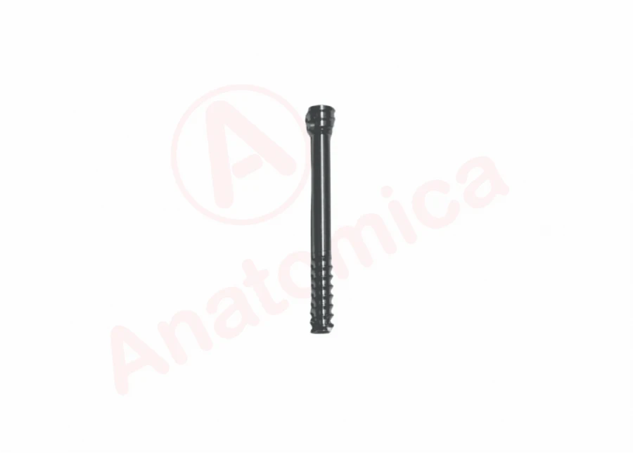 Cannulated compression screw