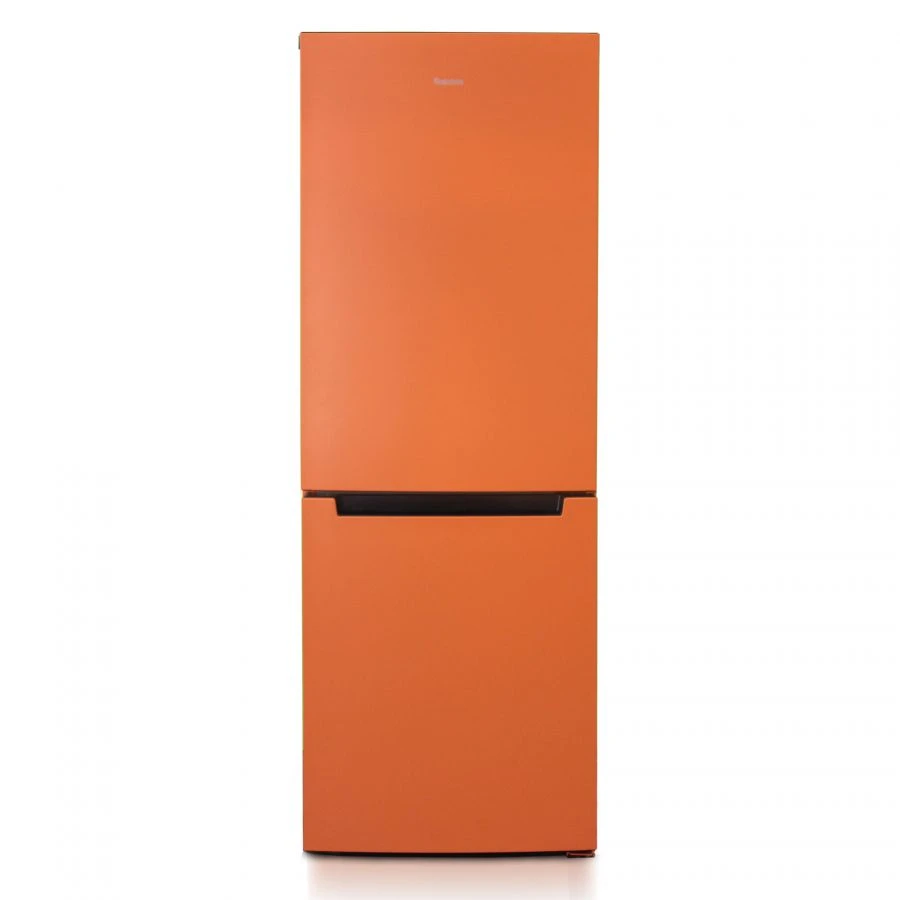Refrigerator-freezer "Biryusa T820NF"