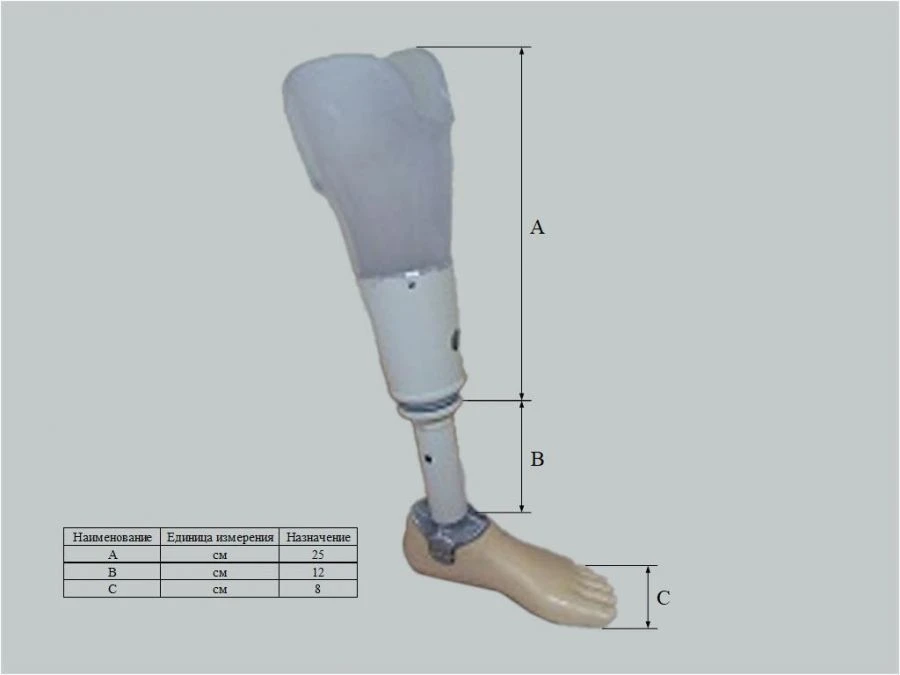 Therapeutic and training tibia prosthesis