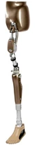 Modular hip replacement with microprocessor control, PN8-OB-E
