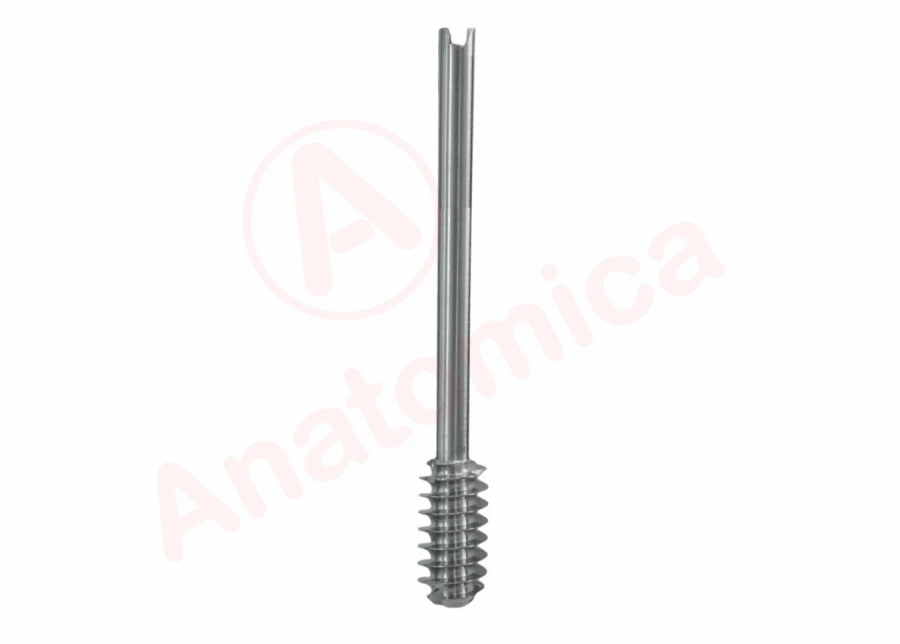 Dynamic screw