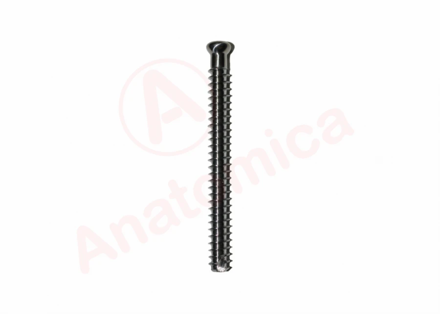 Cannulated screw solid thread