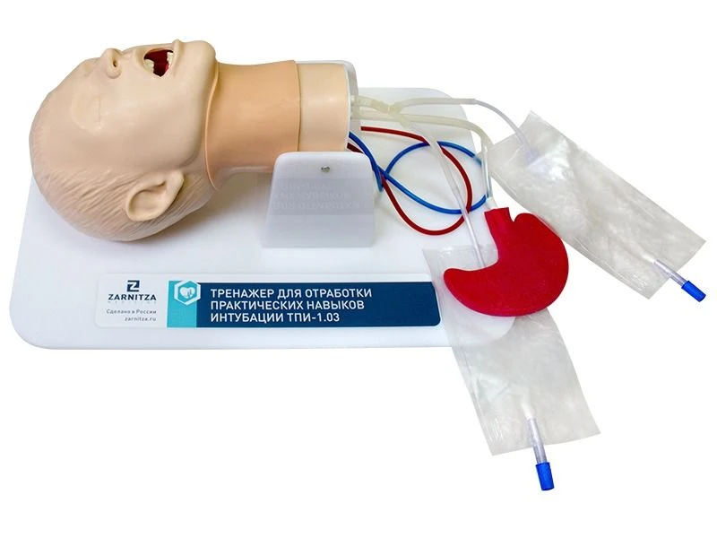 Simulator for practising practical intubation skills TPI-1.03 MU0271