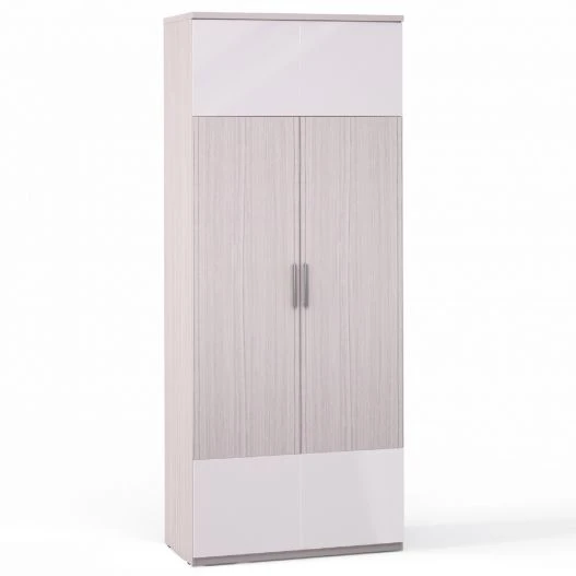 Rimini Ice F9C-01.CG/CM, 2-door cupboard, shelf, rod (from the set of modular furniture Rimini Ice)
