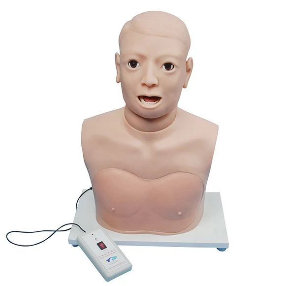 Electronic model for pharyngeal and laryngeal examination CS6279