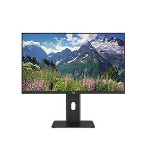 Computer monitor ICL ViewRay 2416IFH-UR BSPA.467846.001