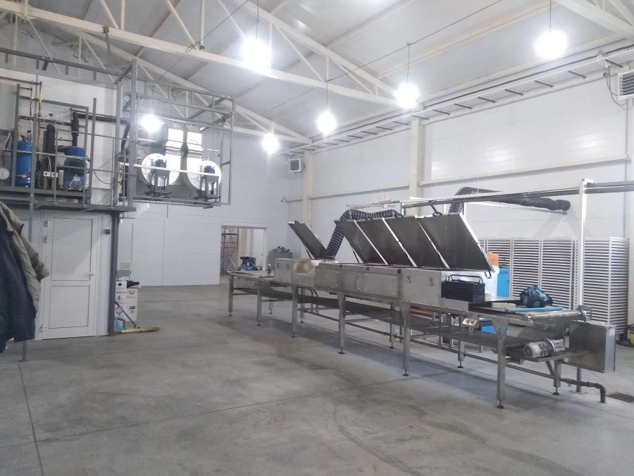 Blanching and defrosting conveyor (KBD-400)