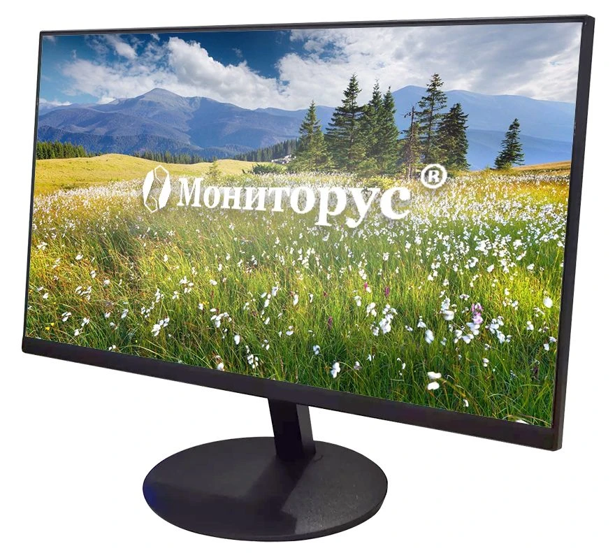 LCD monitor MONITORUS 2101/DVI CD2101