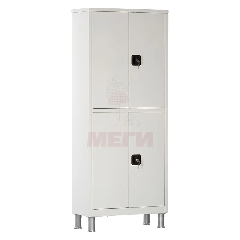 ??-04-???(???-648.01-11) Two-section double-leaf medical metal cupboard