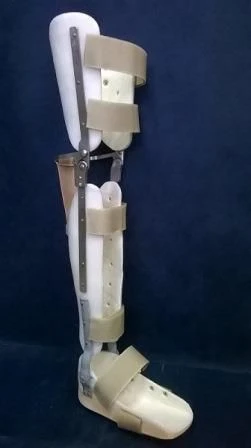 Ankle and knee joint apparatus