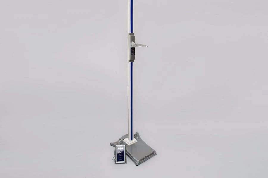 Rostometer REP-I